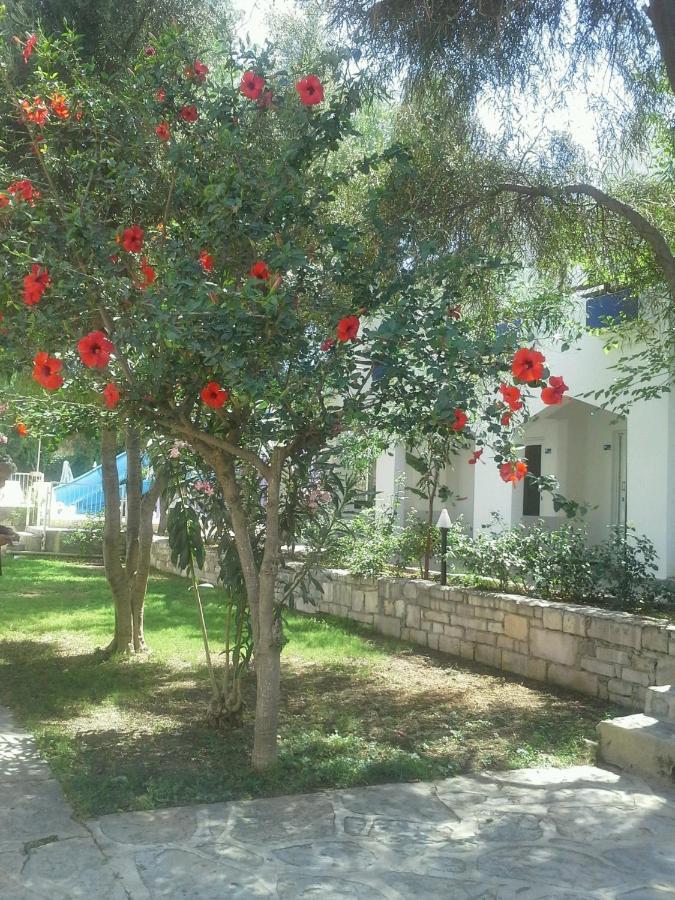 Tenda Hotel بودروم المظهر الخارجي الصورة